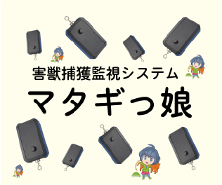 害獣捕獲監視システム　マタギっ娘